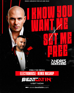 Pitbull Ft Nic Fanciulli – I Know You Want Me Ft Set Me Free (2 Versiones)